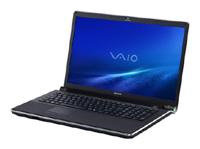 VAIO VGN-AW290JAH