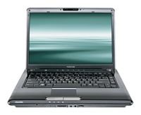 SATELLITE A305-S6905