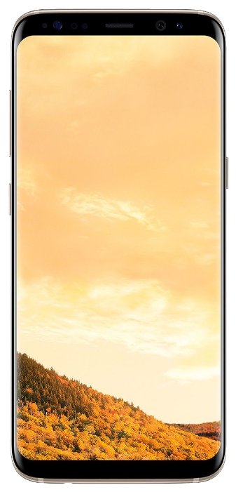 Galaxy S8+